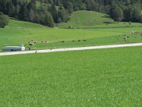 3 Sankt Johann (8)